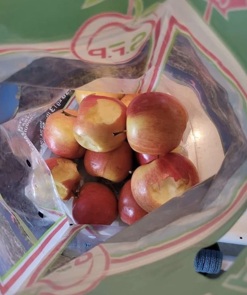 A bag of apples with a bite out of each one