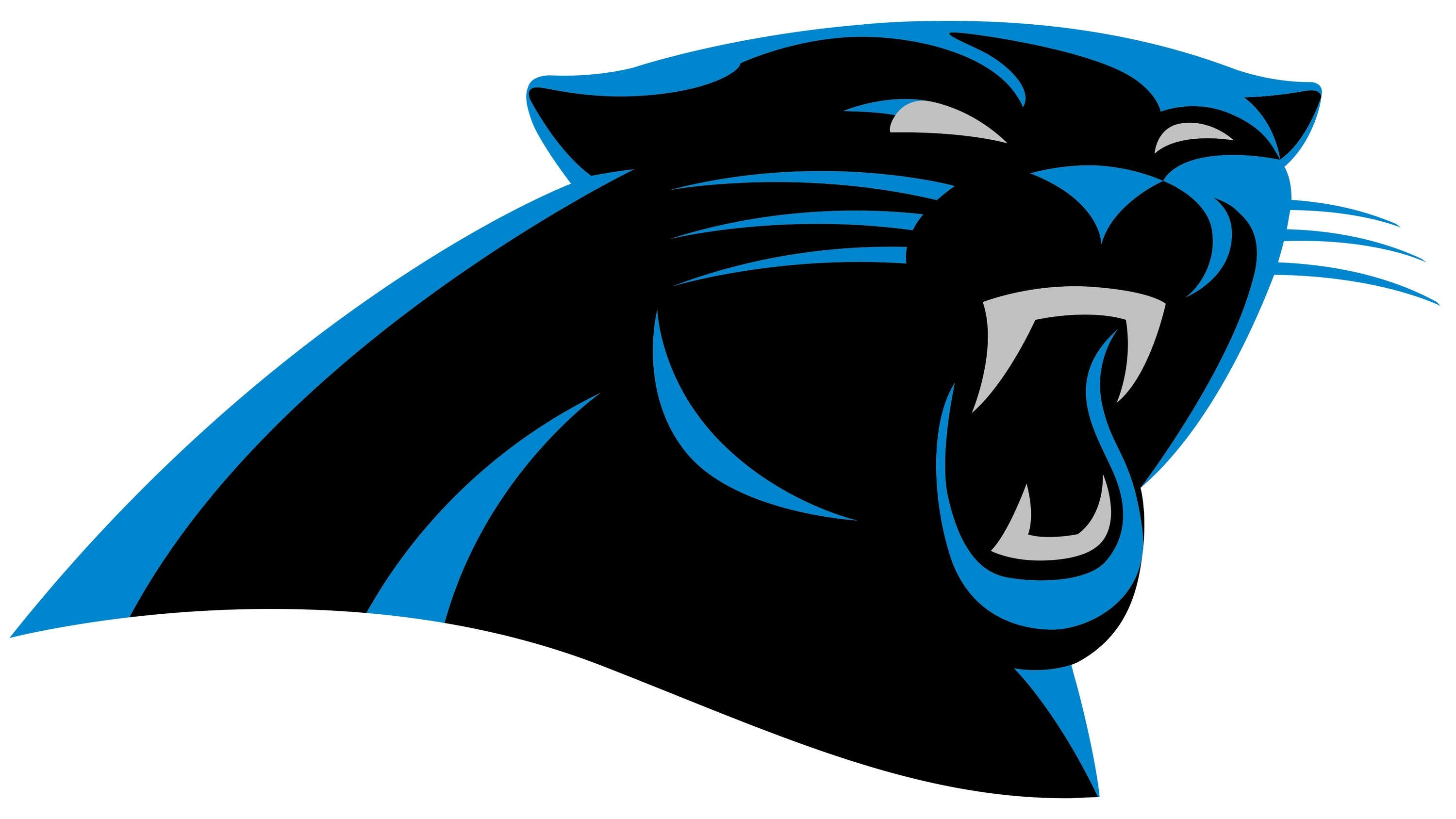 a drawing of a panther