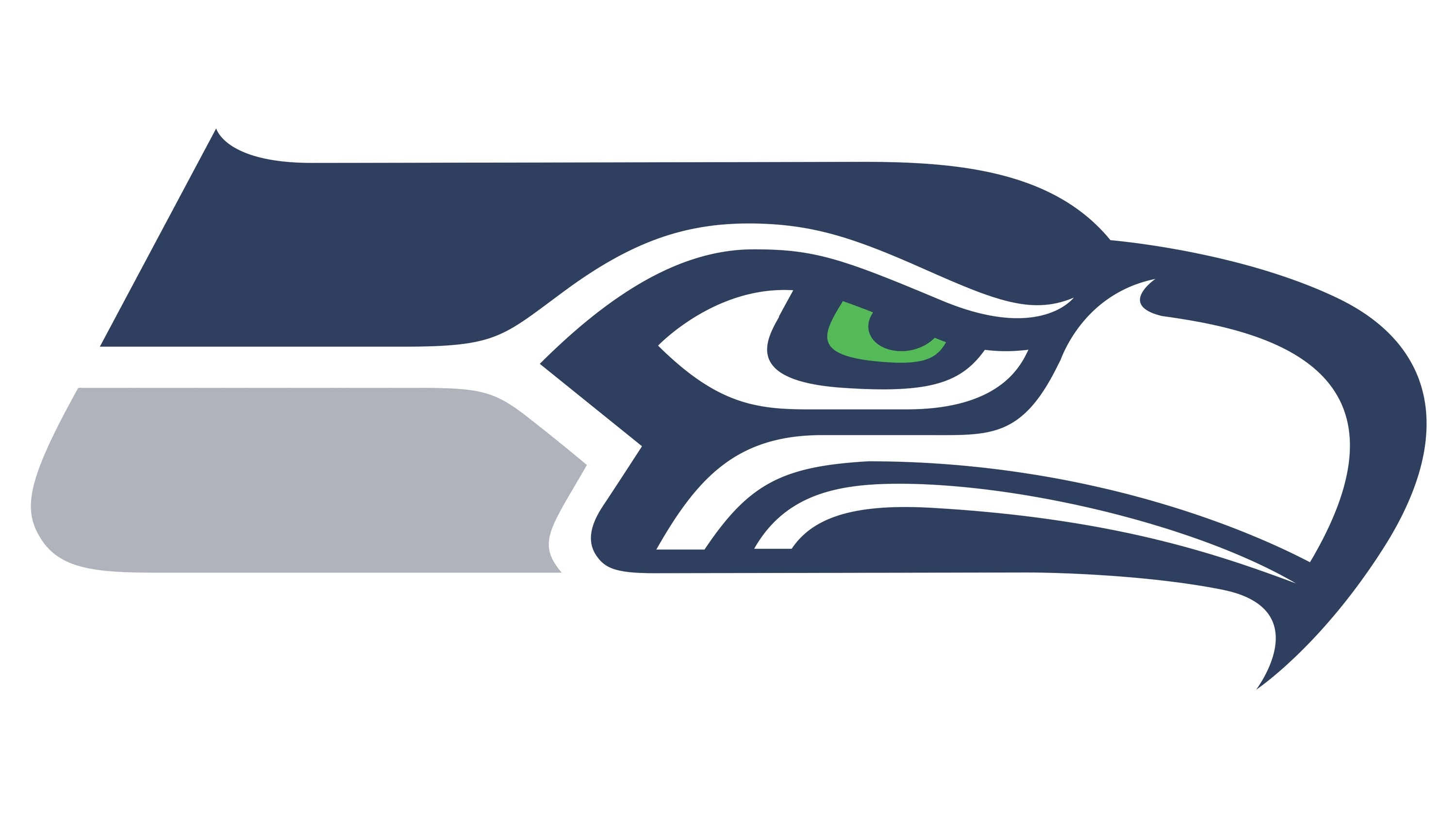 a drawn image of a seahawk