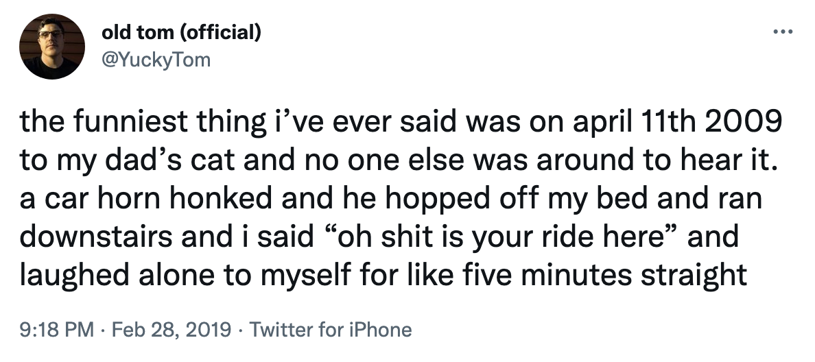 tweet that the funniest thing the person ever said &#x27;oh shit is your ride here&#x27; after a car horn honked and his cat jumped off his bed and ran downstairs