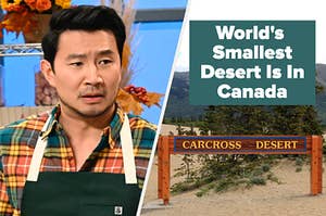 photo of simu liu looking confused and a photo of the caracross desert
