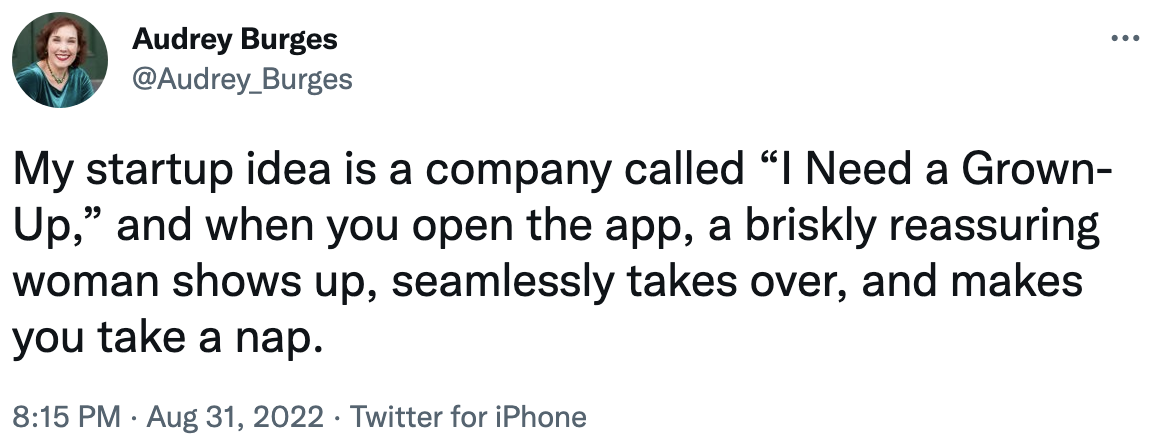 my startup idea is a company called, &quot;i need a grown-up&quot; and when you open the app, a briskly reassuring woman shows up, seamlessly takes over, and make you take a nap