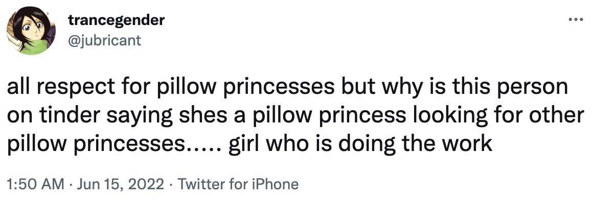 all respect for pillow princesses but why is this person on tinder saying she&#x27;s a pillow princess looking for another pillow princesses...girl who is doing the work