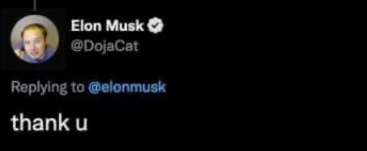doja first changing her name to elon musk