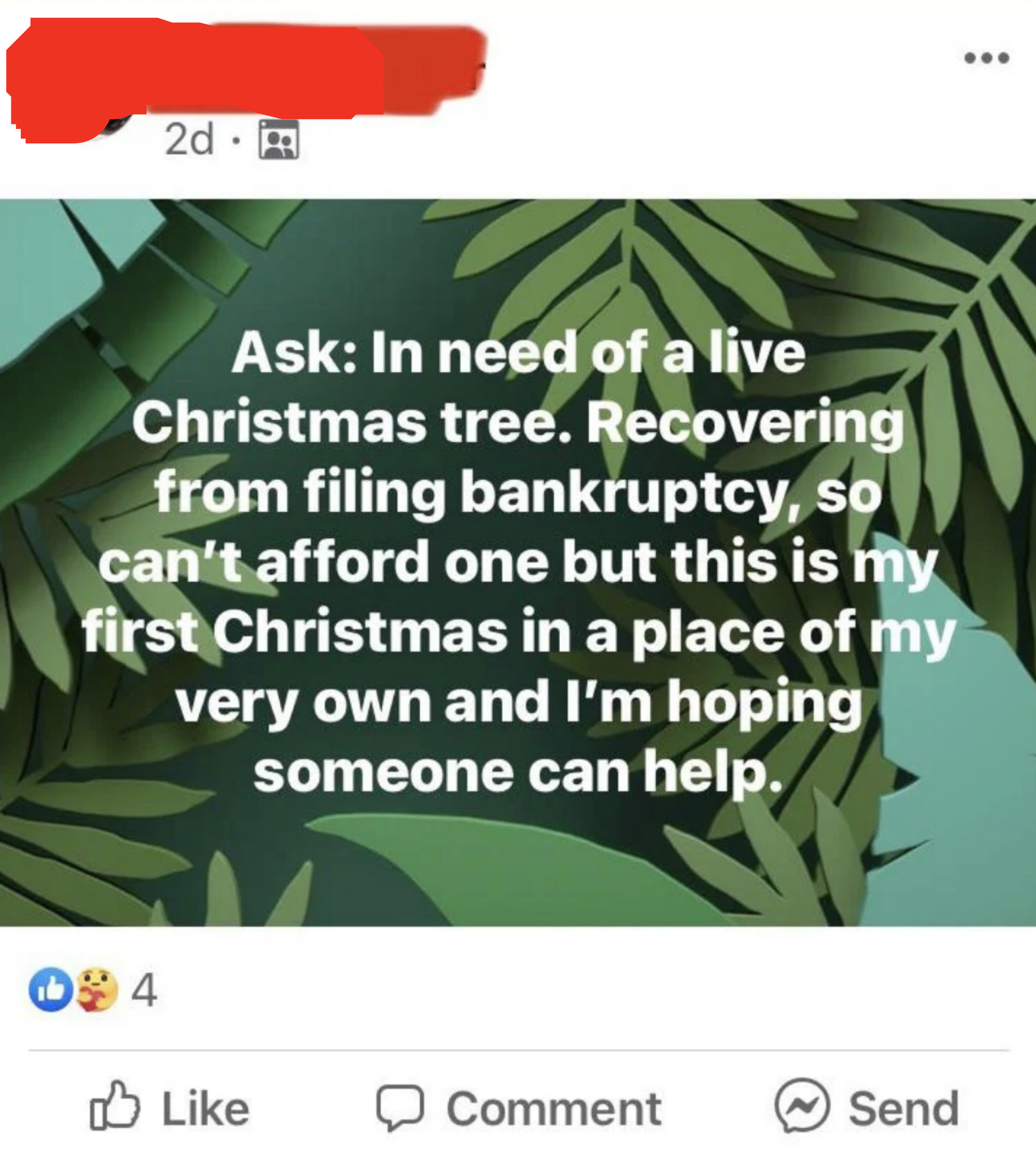 A Facebook post asking for a live Xmas tree; they&#x27;re recovering from bankruptcy so they can&#x27;t afford one, but this is their first Xmas in a place of their own