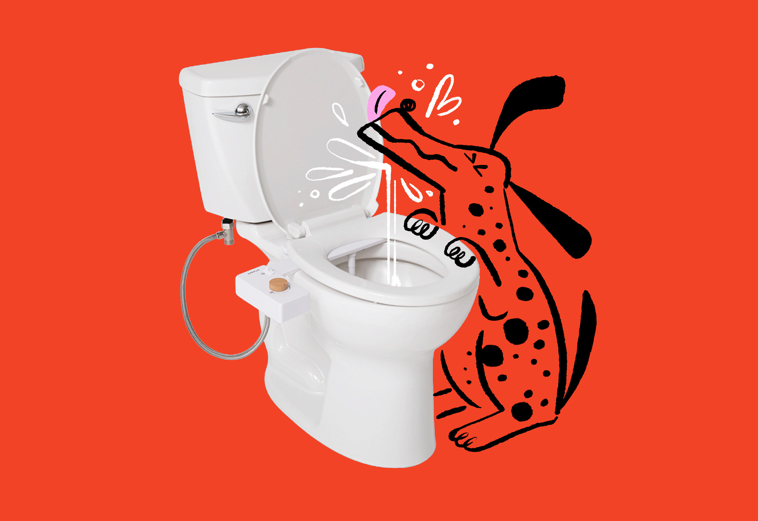 How to Clean A Toilet and Why It Matters — TUSHY