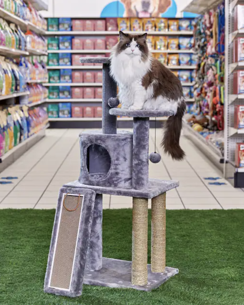 a cat standing on a cat tree in the middle of a store