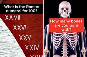 Roman numerals on a ship and a human skeleton
