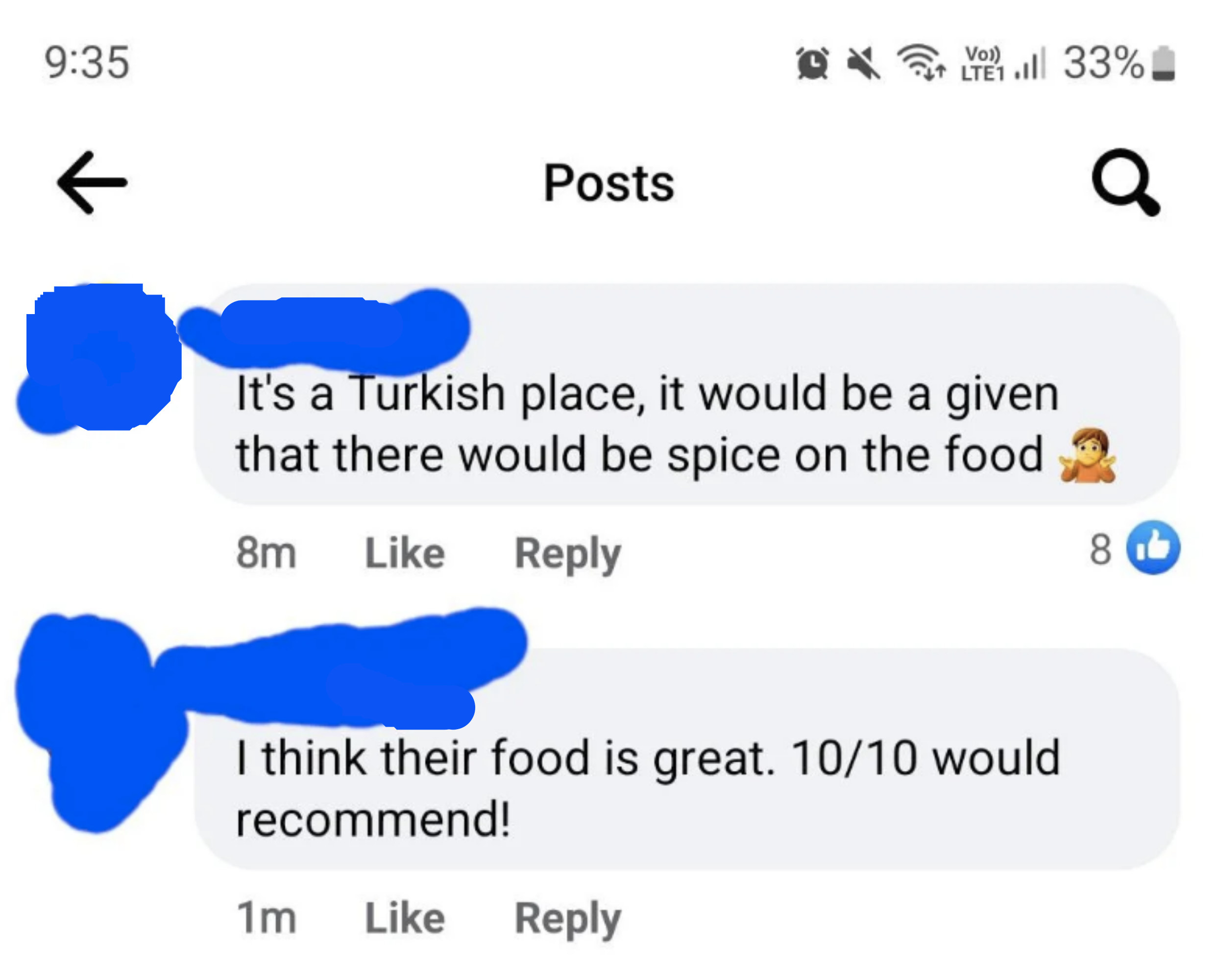 Response: &quot;It&#x27;s a Turkish place, it would be a given that there would be spice on the food&quot; and &quot;I think their food is great; 10/10 would recommend!&quot;