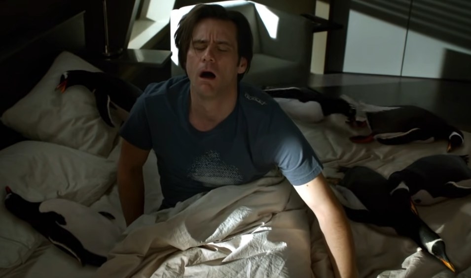 Jim Carrey as Tom waking up to penguins all over his bed