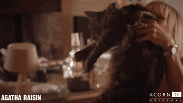 person lovingly holding up a cat