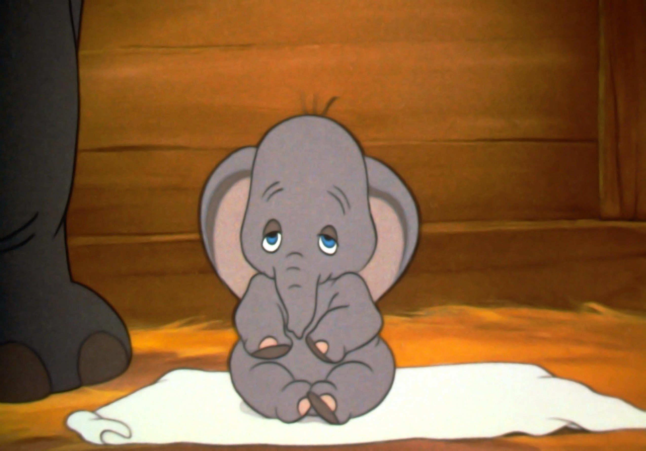 Dumbo sitting on a blanket