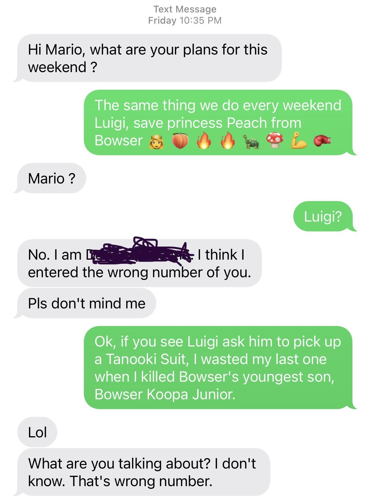 wrong number text to someone they think is named mario and the receiver pretends they are super mario