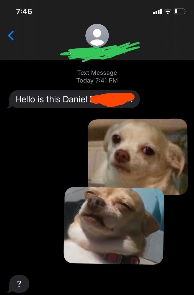wrong number text that gets responded to with just two strange dog pics