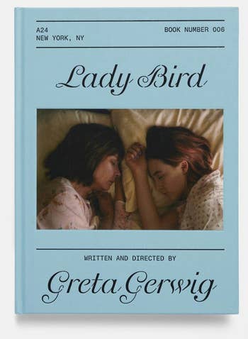 Lady Bird screenplay book