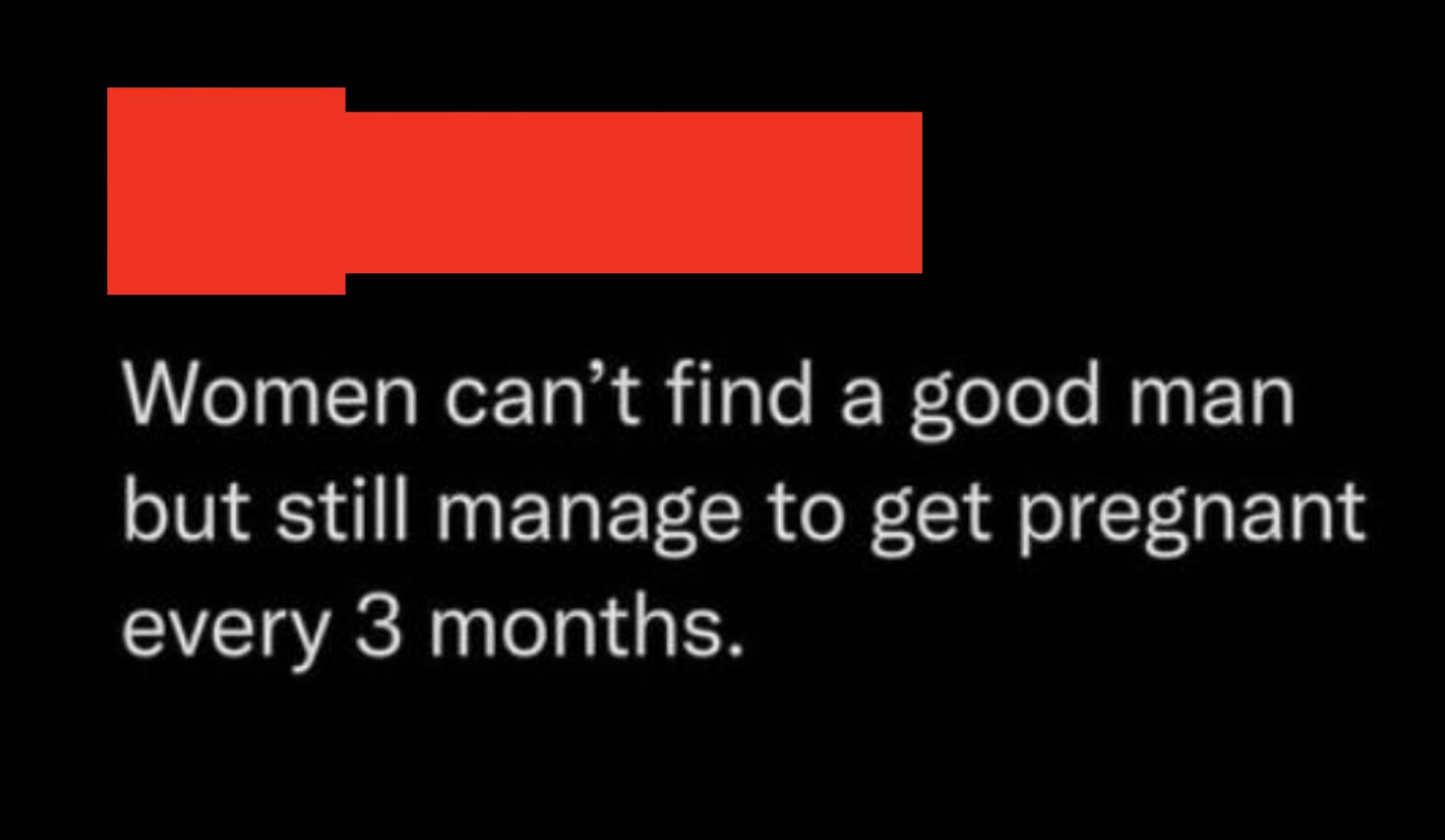 &quot;Women can&#x27;t find a good man but still manage to get pregnant every 3 months.&quot;