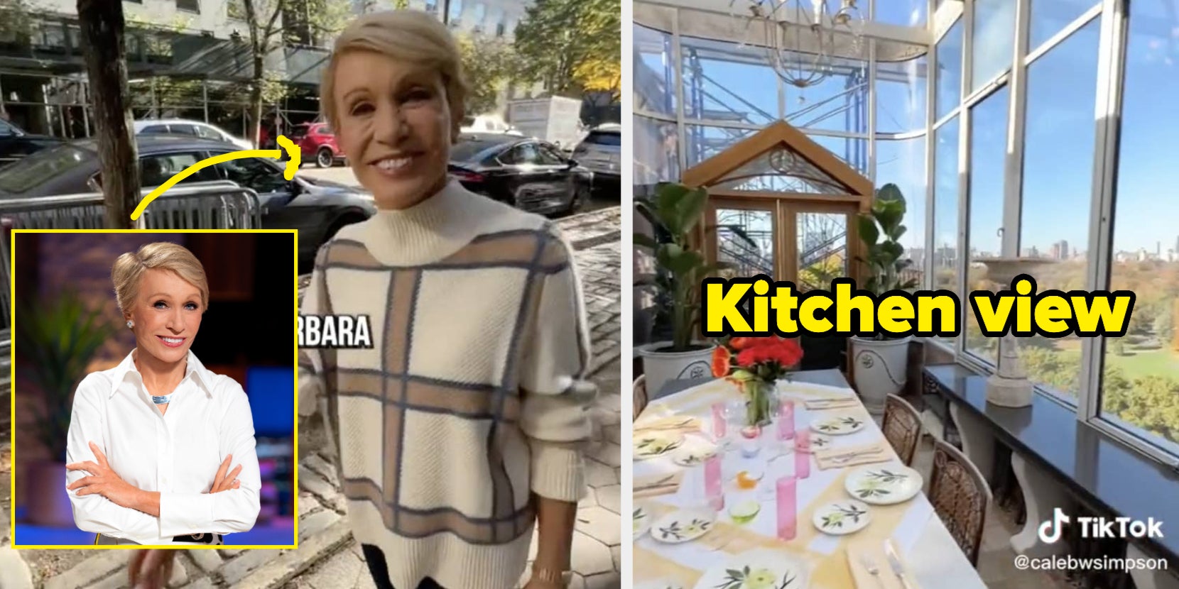 Barbara Corcoran's TikTok Apartment Tour - Vimarsana News