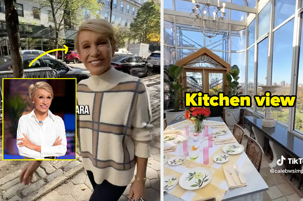 barbara corcoran from shark tank showed off her 1 2 1079 1668535221 11 dblbig