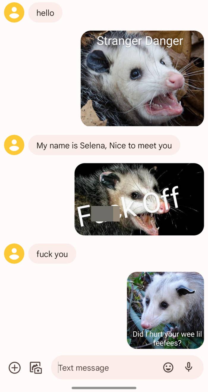 wrong number text where the receiver just sends pictures of a possum