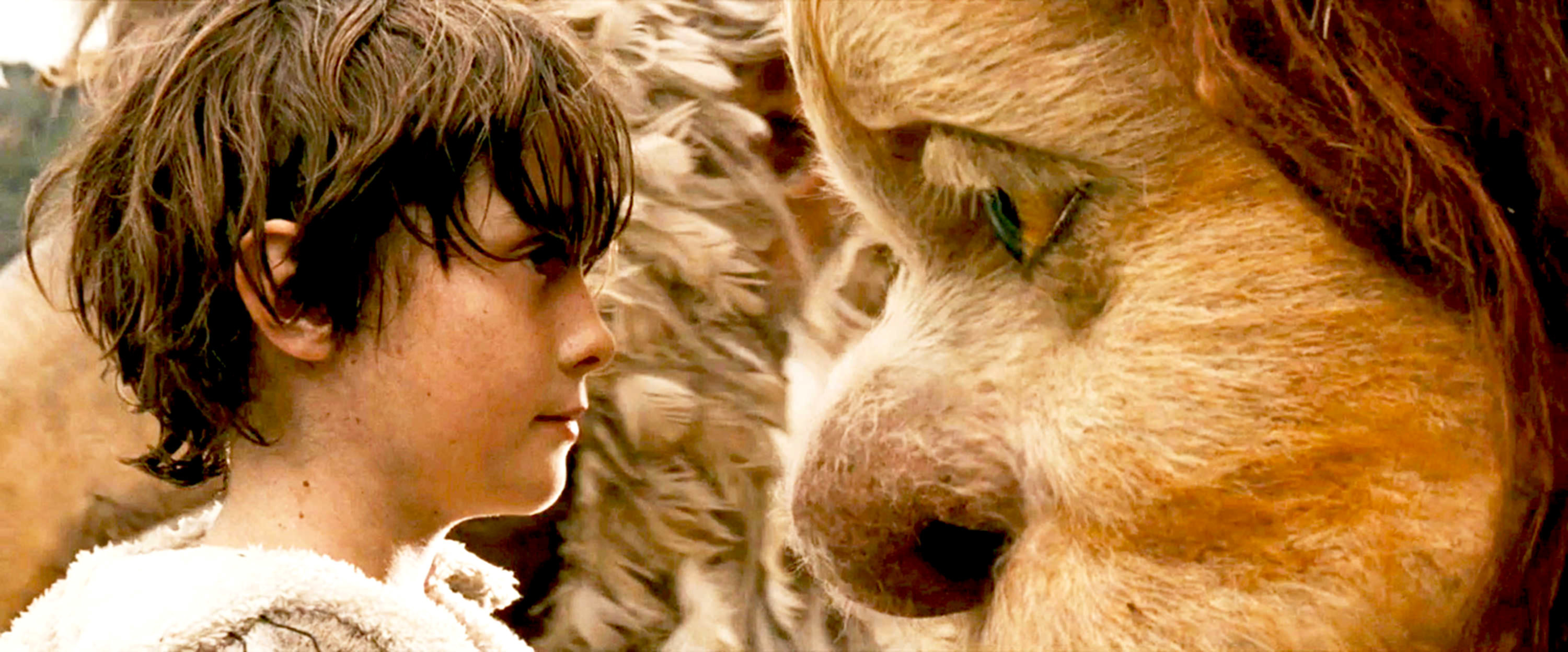 A child looks into the eyes of a fluffy creature