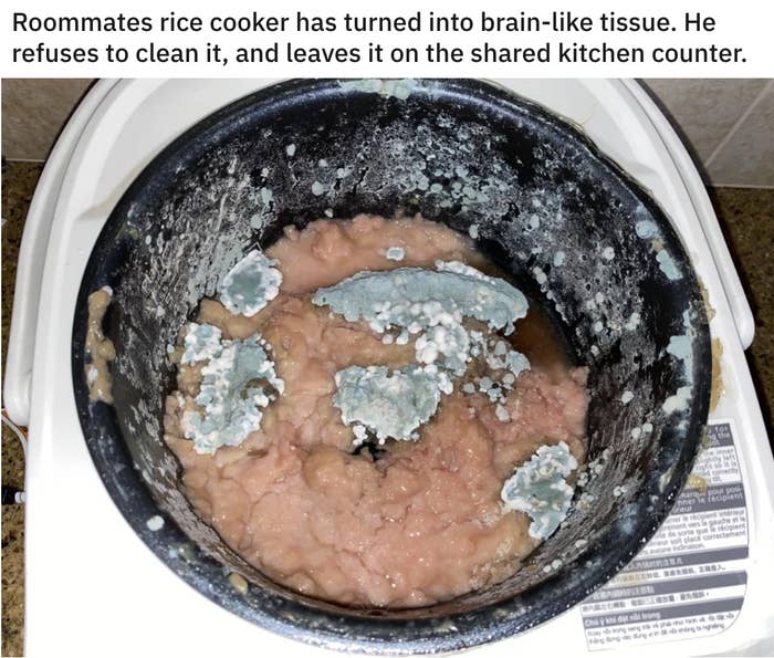 rice cooker with old food and mold