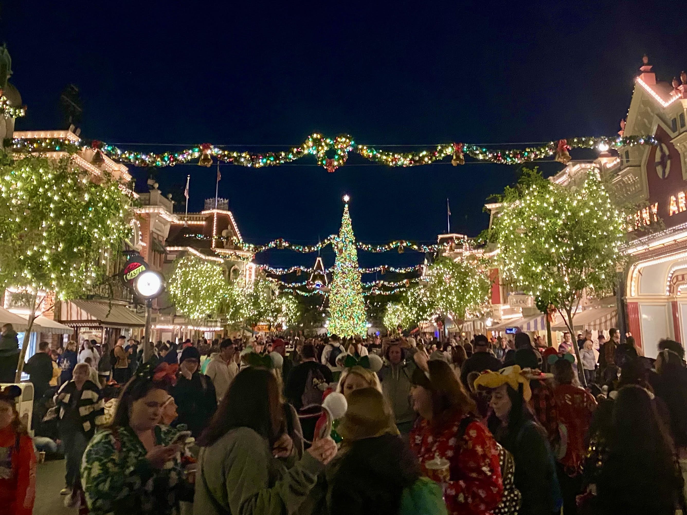 the park lit up with holiday lights and decor