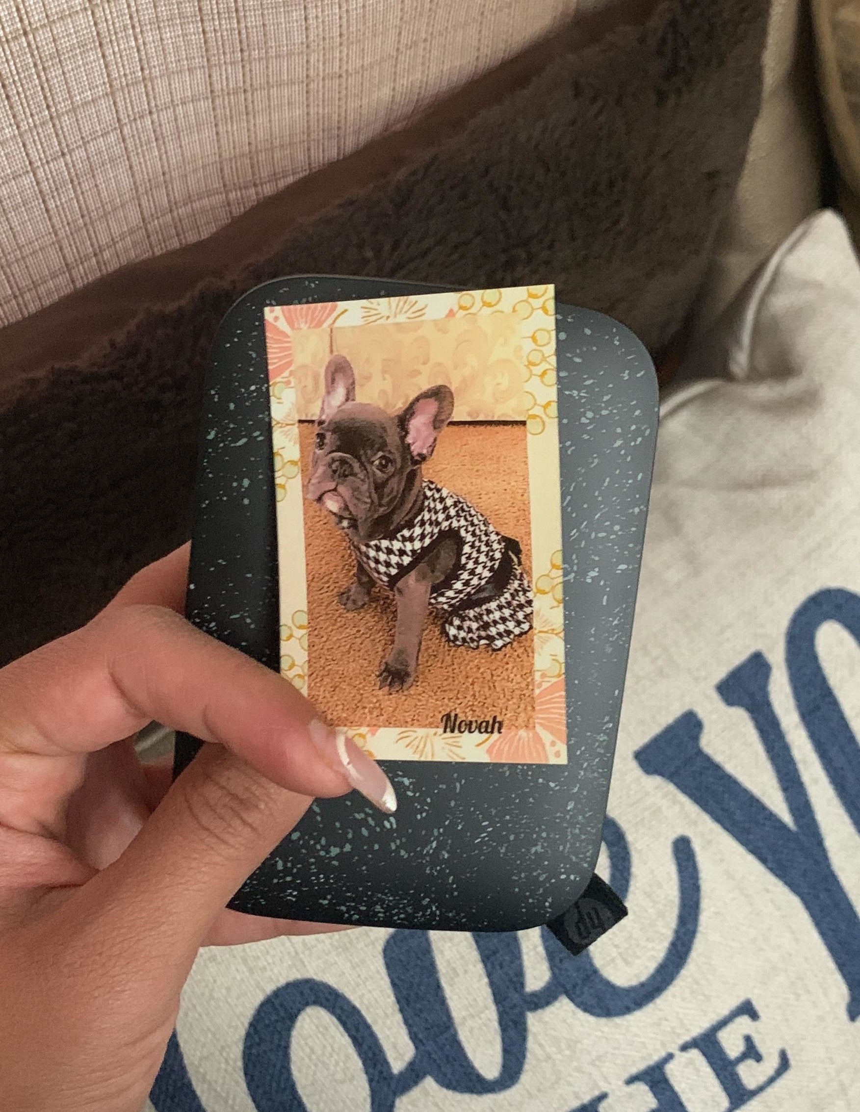 a photo of a reviewer&#x27;s frenchie printed with the printer