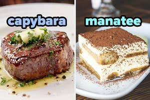 On the left, a steak topped with butter and herbs labeled capybara, and on the right, a slice of tiramisu labeled manatee