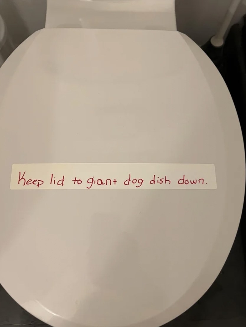&quot;keep lid to giant dog dish down&quot;