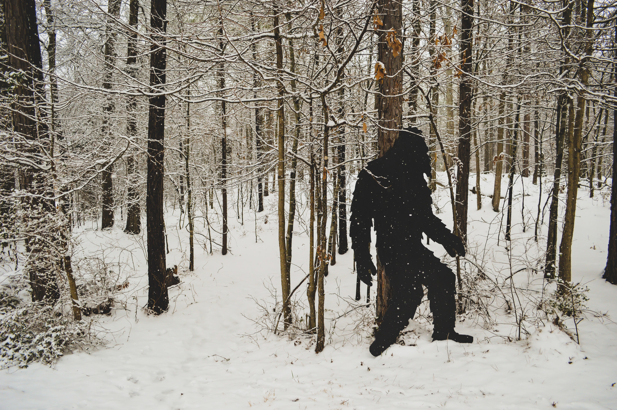 Someone walking through the woods in the snow