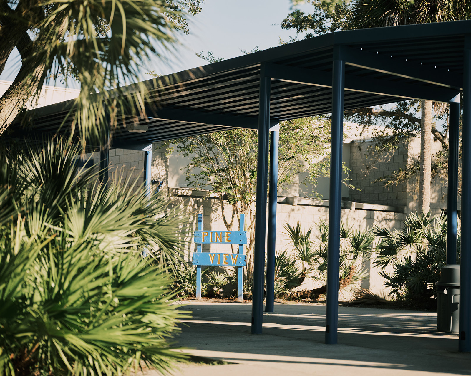 A photo of Pine View School&#x27;s entrance. There is a bright blue wooden sign that reads &quot;PINE VIEW&quot; in a hand made font. There are palm trees around.
