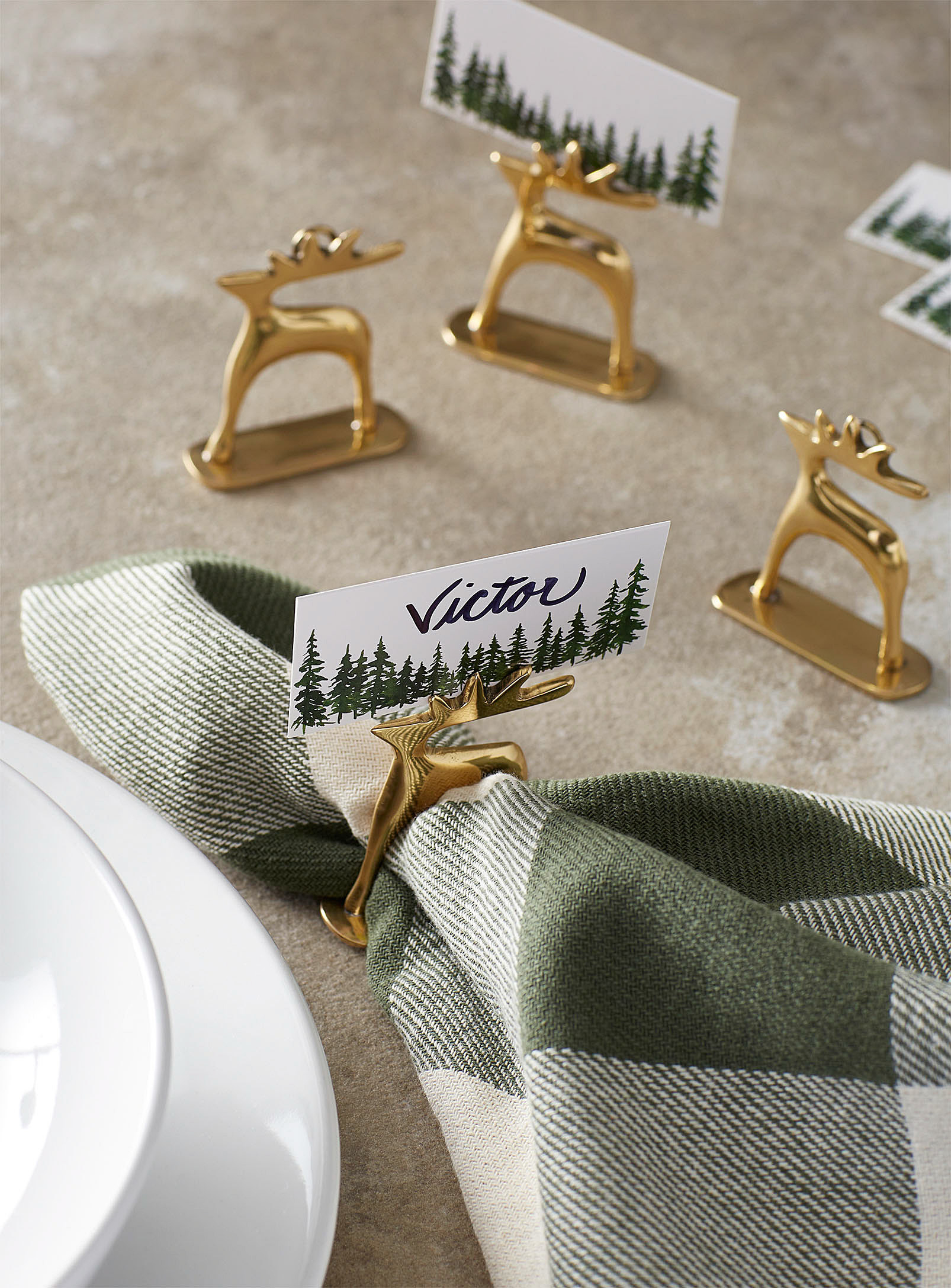 the napkin rings on a table with one around a napkin and the place cards in them