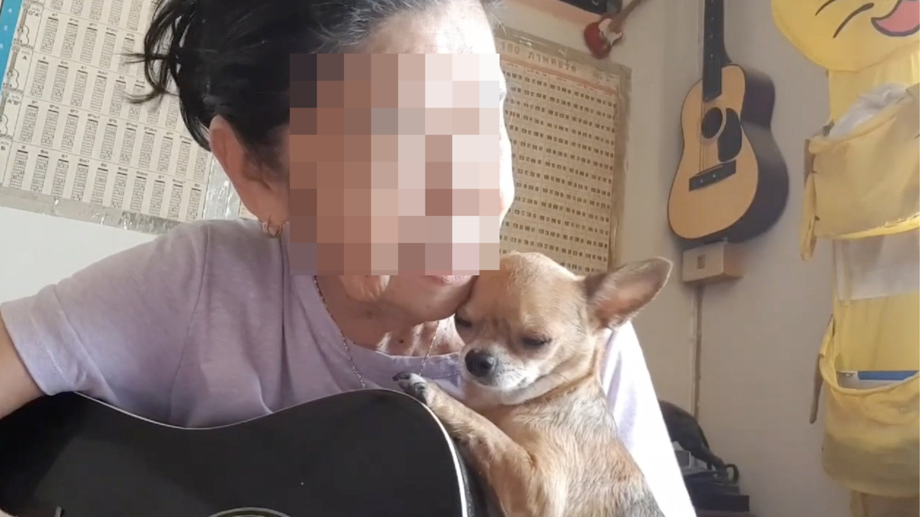 Grandma playing guitar with her chihuahua on her shoulder