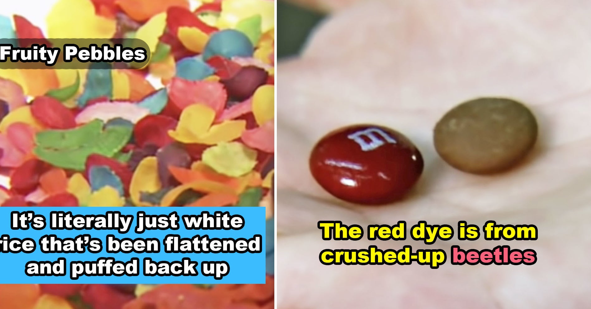 19 Shocking Food "Facts" That Are So Wild, They'll Change How You See