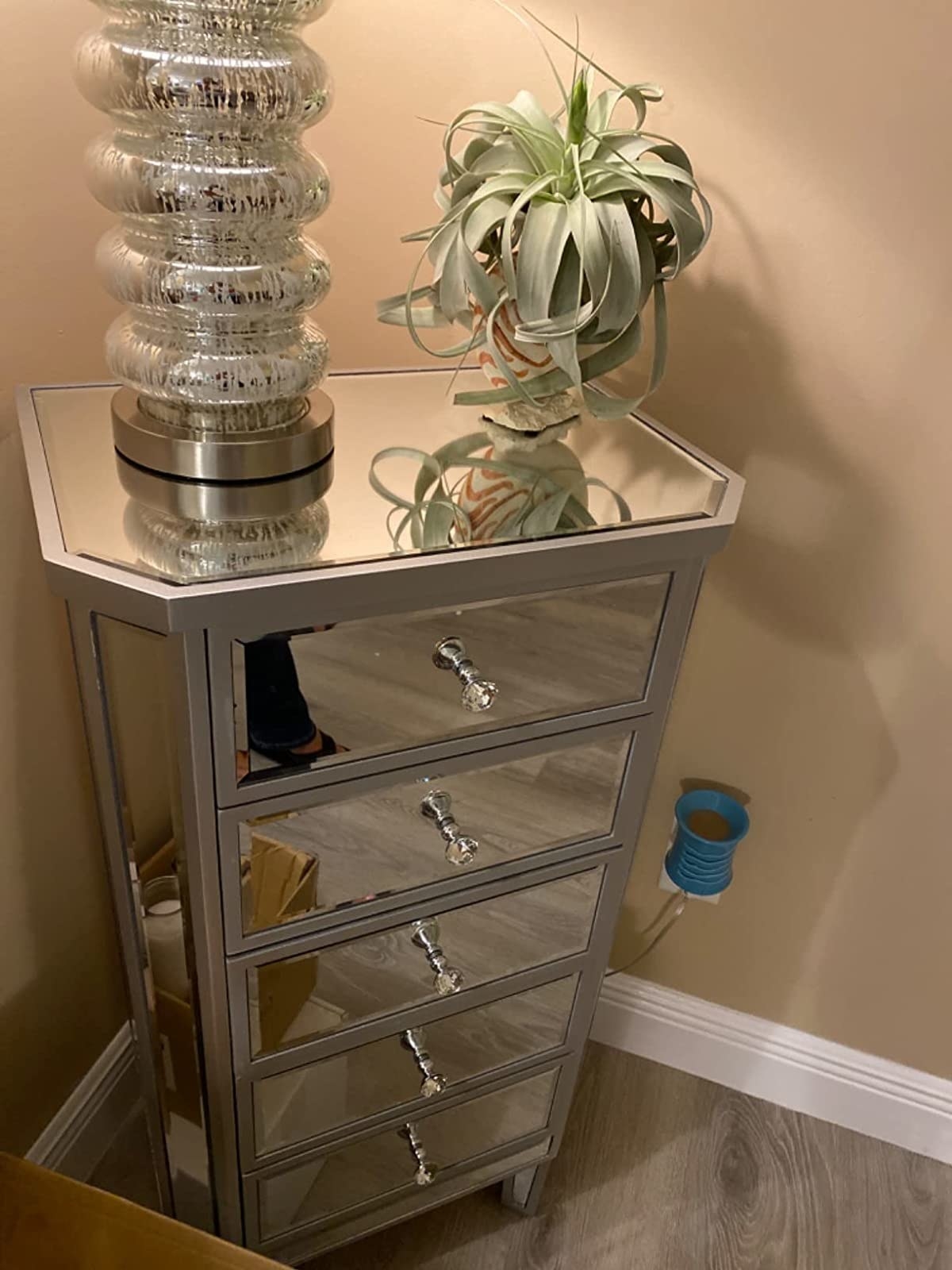 Reviewer&#x27;s mirrored cabinet styled with a plant and lamp