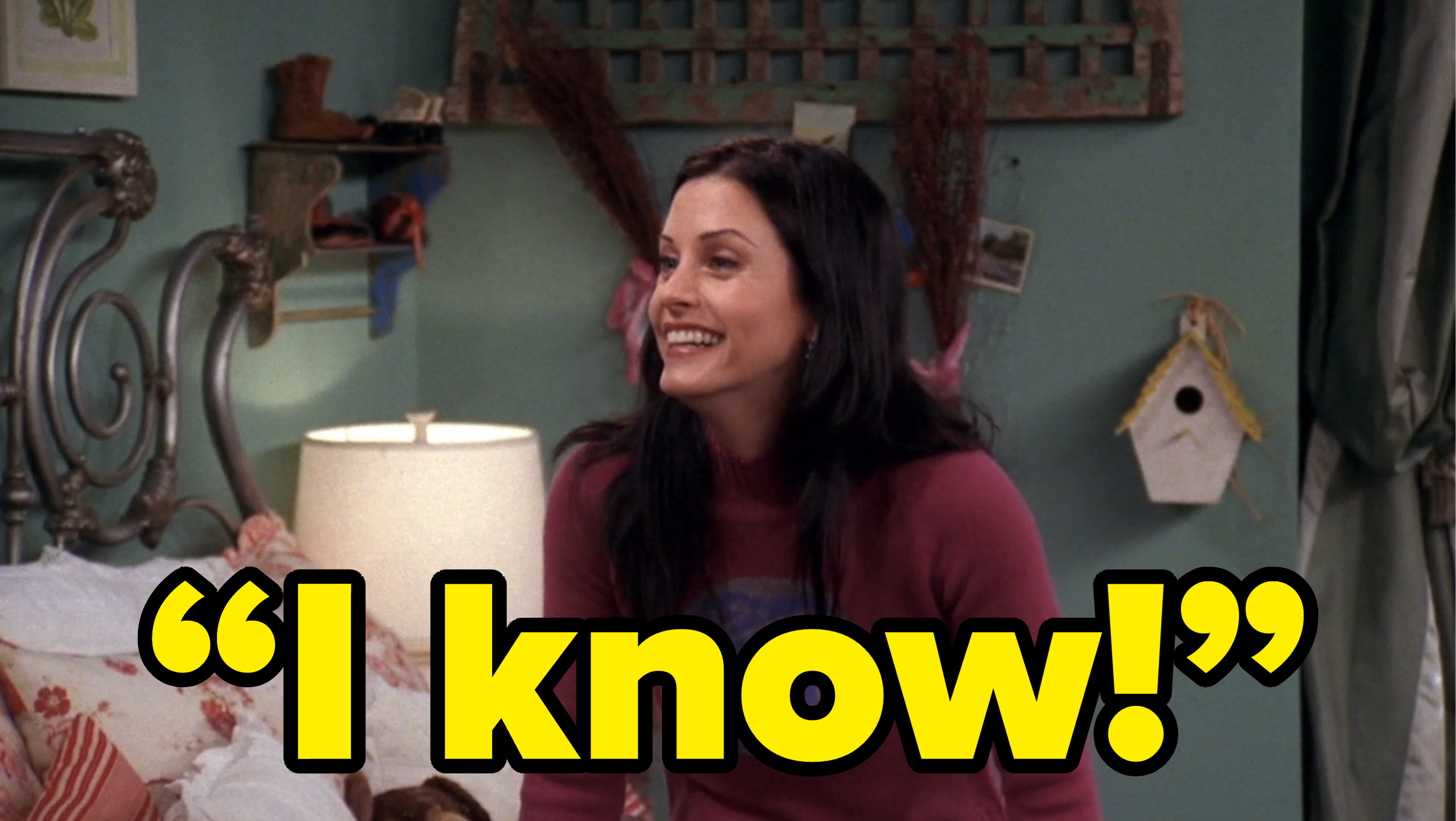 monica saying i know on friends