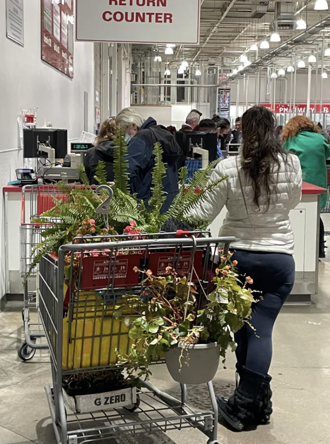 A woman with dead plants in her basket