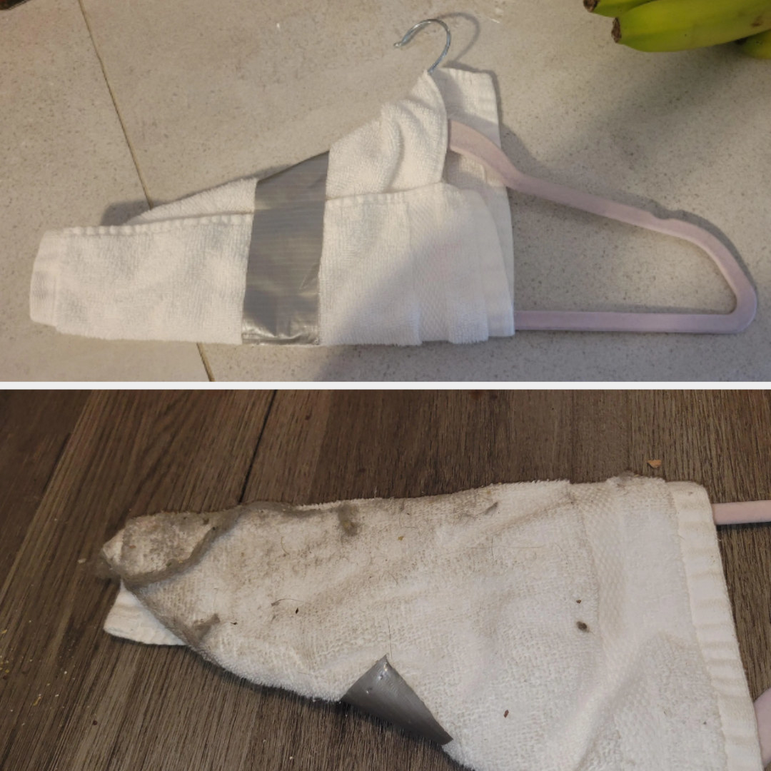the rag being used to clean