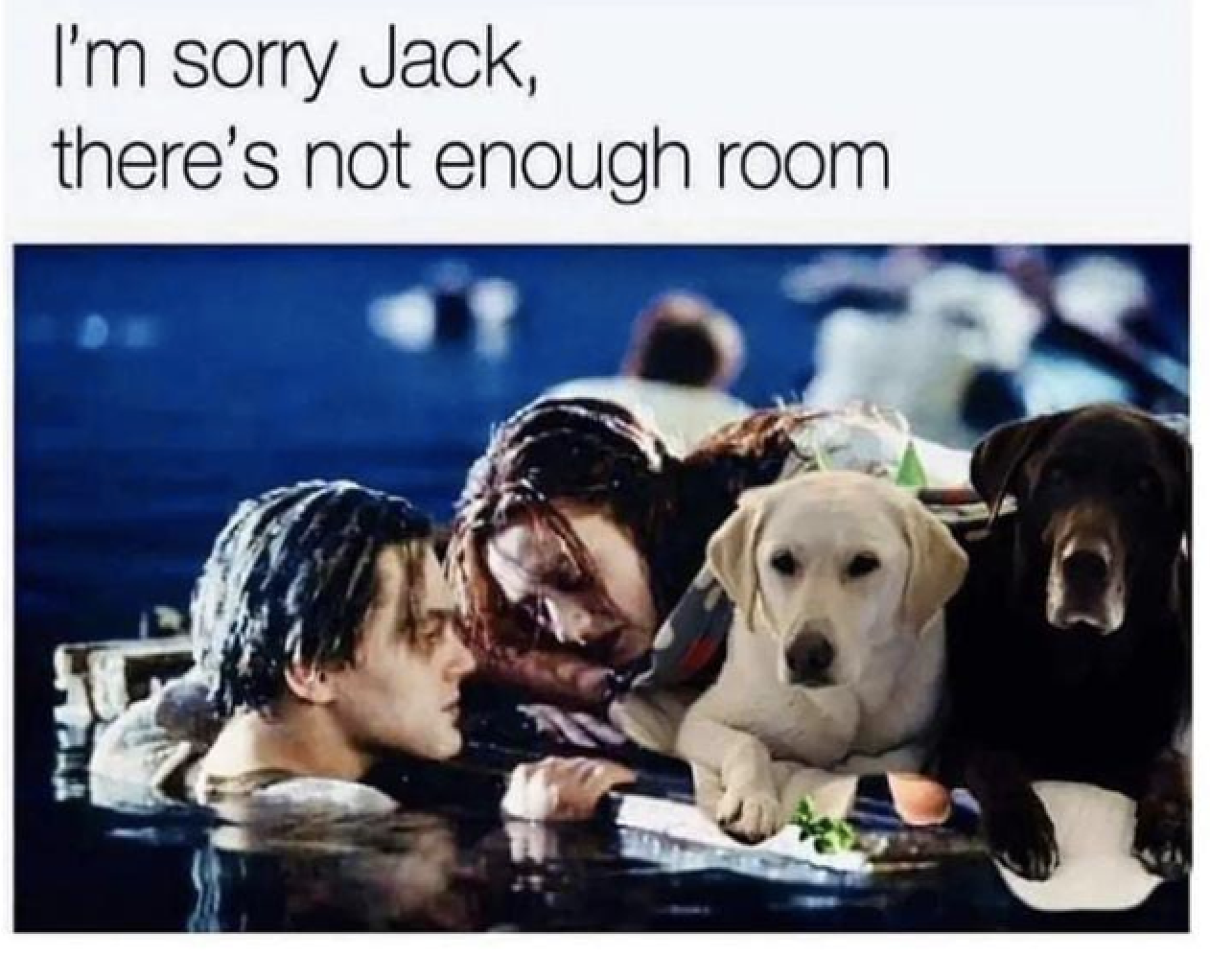 &quot;I&#x27;m sorry Jack, there&#x27;s not enough room&quot;