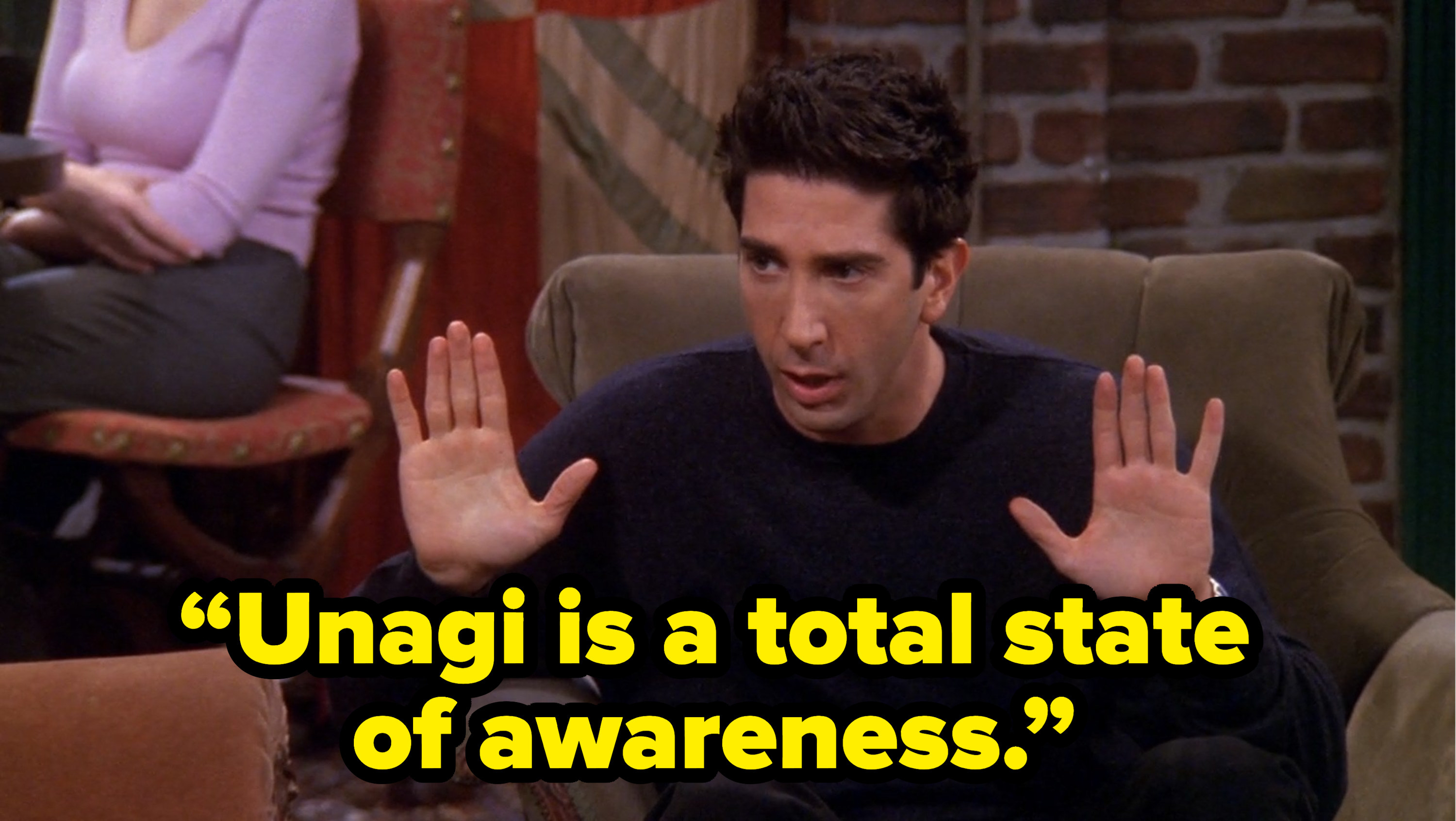ross saying “Unagi is a total state of awareness.” on friends