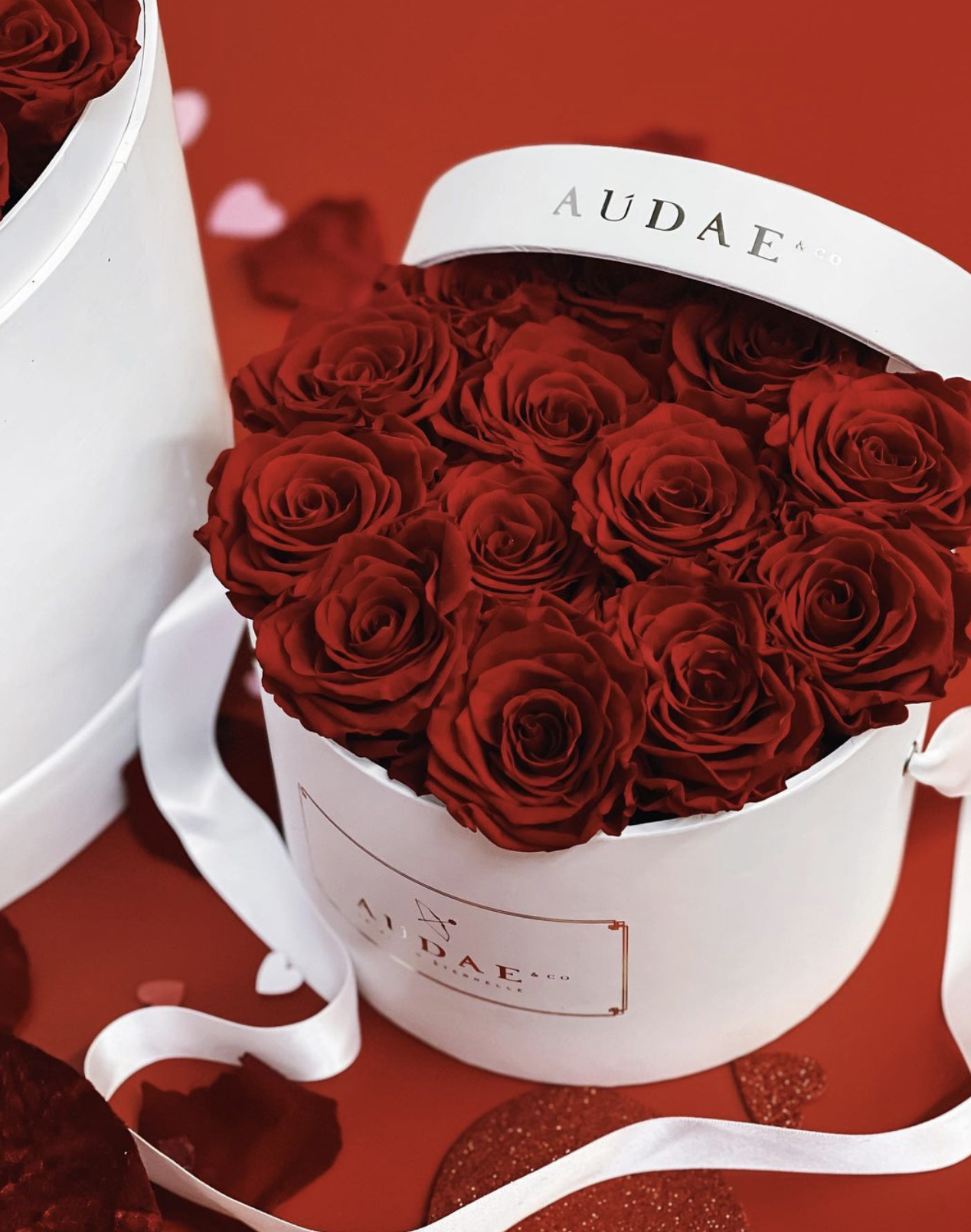 13 red roses in white circular box.