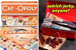 cat-opoly board game; red tool box filled with jerky
