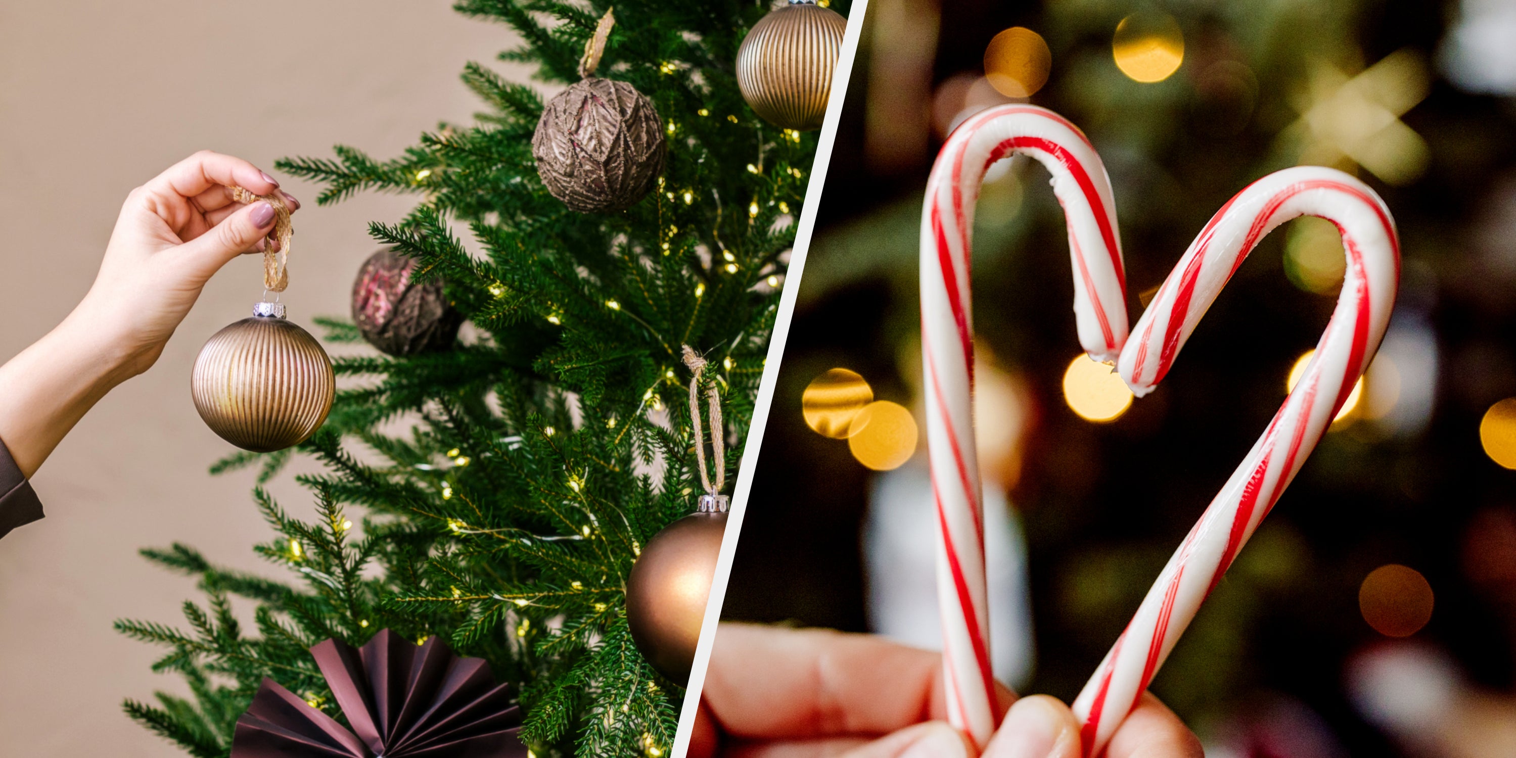 Get Ready For Christmas To Get Your Holiday Scent - Vimarsana News