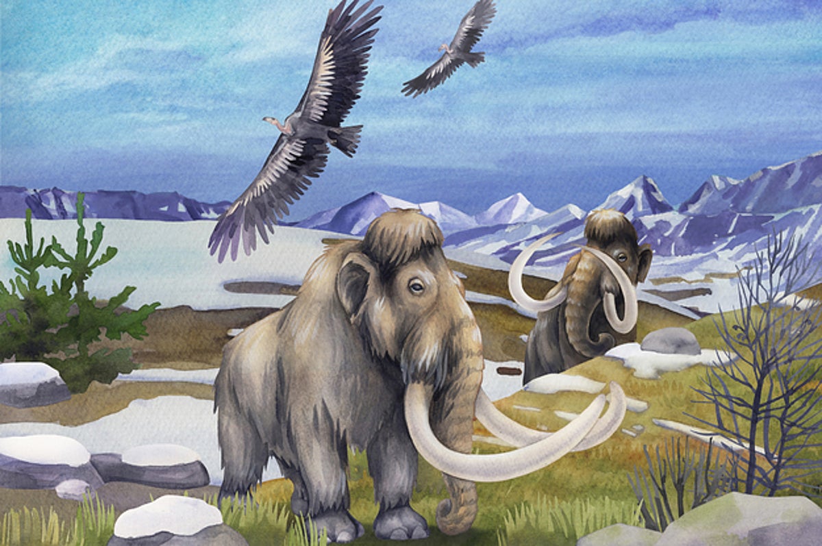 Mastodon