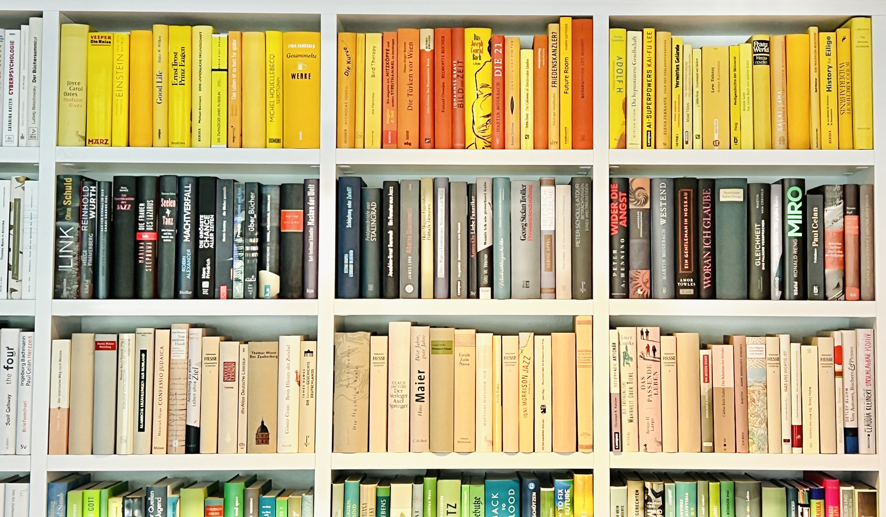 color coded bookshelf