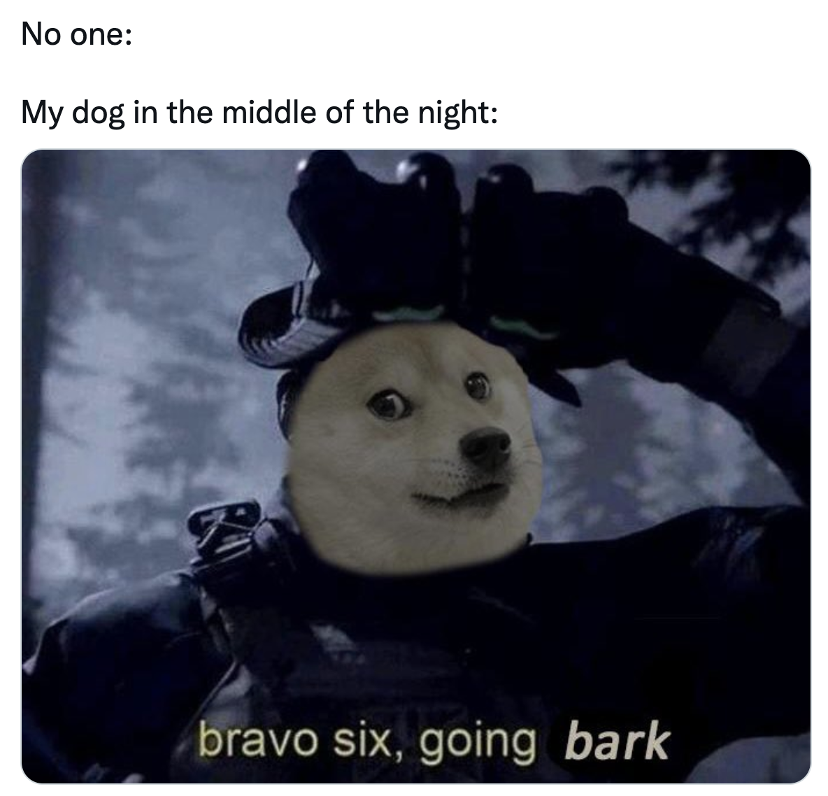 &quot;bravo six, going bark&quot;