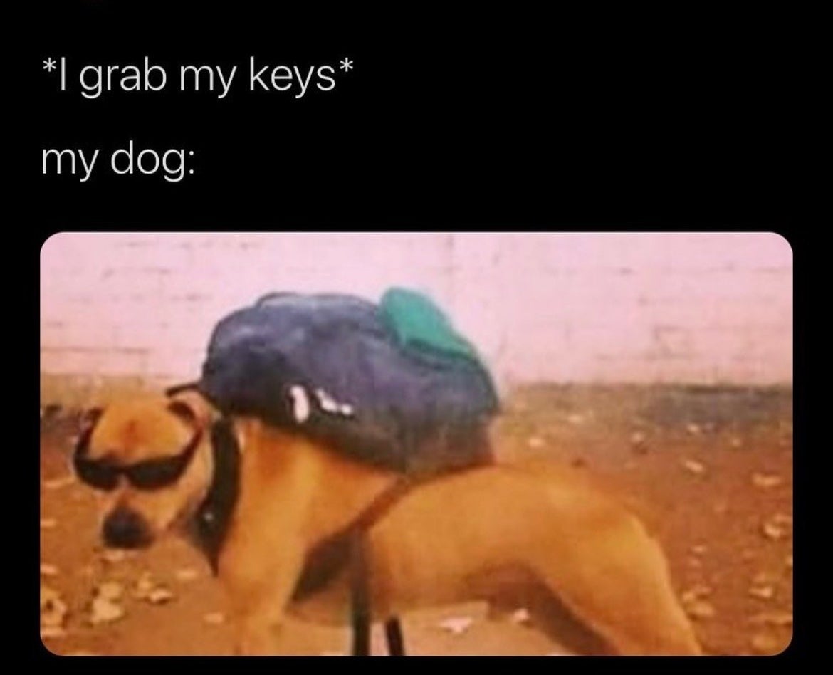 *I grab my keys*