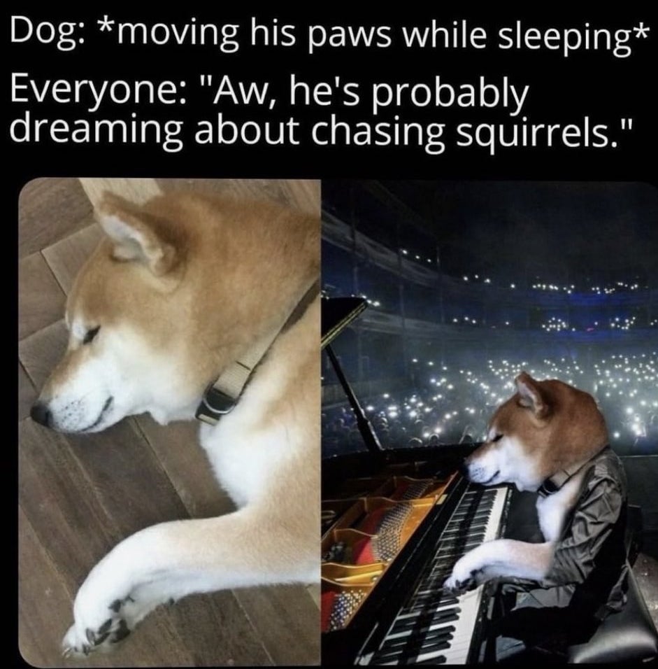 A dog playing piano