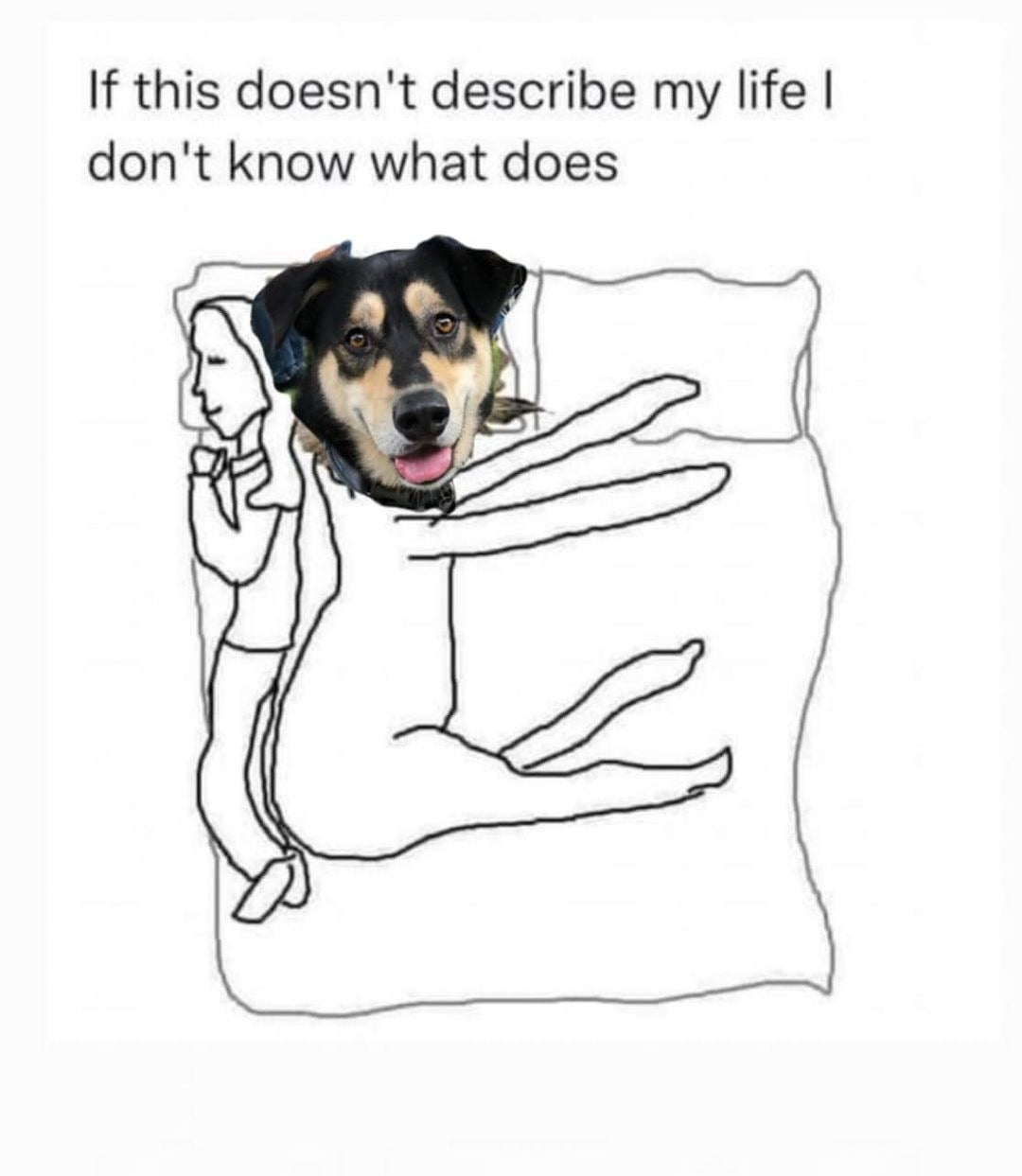 Cartoon of a dog taking up the whole bed