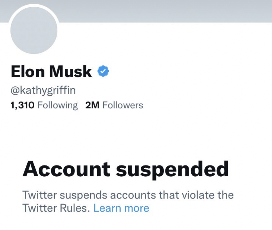 Twitter Accounts Elon Musk Reinstated - 64